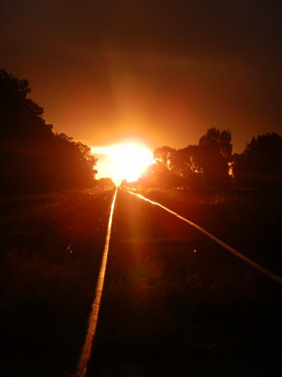 Narrabri Motel And Caravan Park Ngoại thất bức ảnh